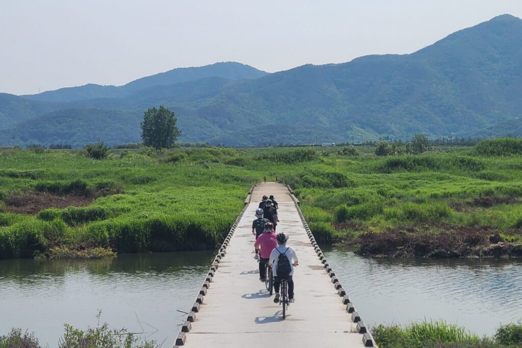 꾸미기_사회적협동조합 밀양늘배움 지원센터-전체 사진-69335656363